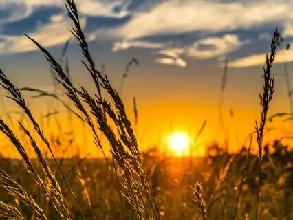 Reclaiming Your Energy