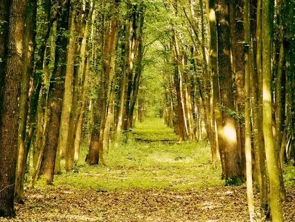 Reclaiming Your Freedom With Healthy Boundaries