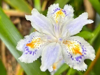 Reclaiming Your Inner Gold Meditation