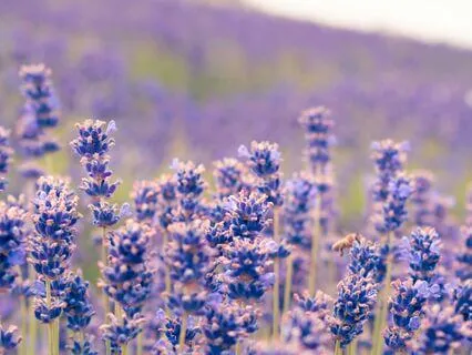 Reclaiming Your Power Through Love