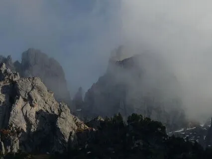 Recognize, Allow, Investigate, Nurture Practice