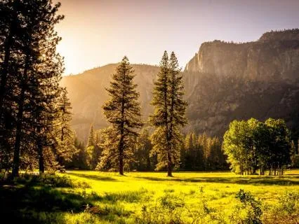 Recognize, Allow, Investigate, Nurture (RAIN) (No Music)