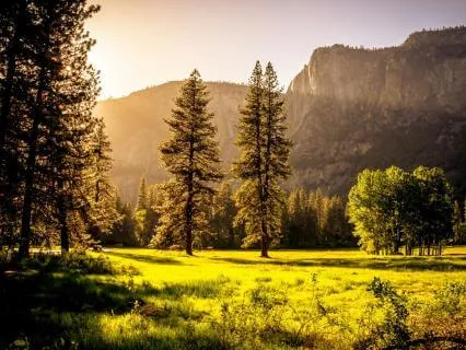 Recognize, Allow, Investigate, Nurture (RAIN) (With Music)