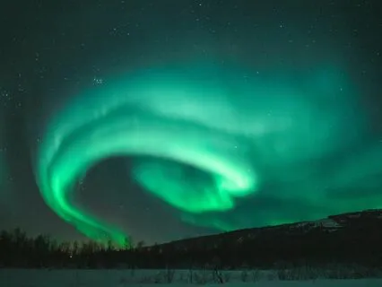 Recognizing Ourselves In Nature