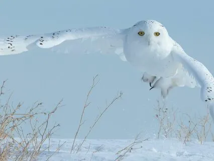 Recognizing Toxic Relationships & Reclaiming Your Wellbeing