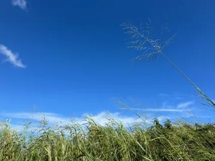 Recognizing Your Gift Of Ultimate Love