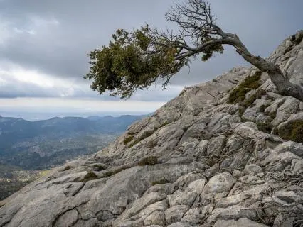 Recognizing Your Resilience To Difficulty