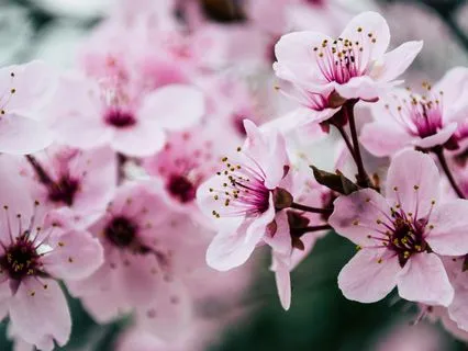 Reconcile - Instrumental For Forgiveness And Rest