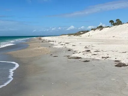 Reconnect And Attune With Your Partner Through Meditation