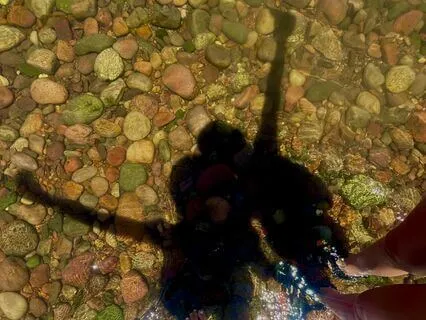 Reconnect And Recharge