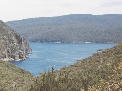 Reconnect Daily: Morning Blessing