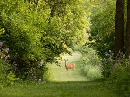 Reconnect & Ground: When You Feel Shut Down