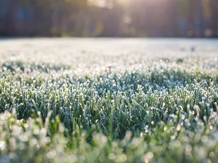 Reconnect - Heal Loneliness & Depression