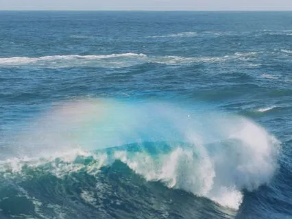 Reconnect To Abundance