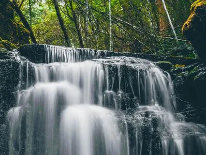 Reconnect To Gratitude