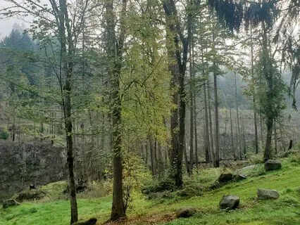 Reconnect To Nature In Any Place