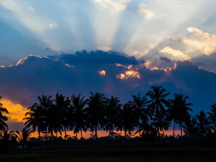 Reconnect To The Divine To Create Change