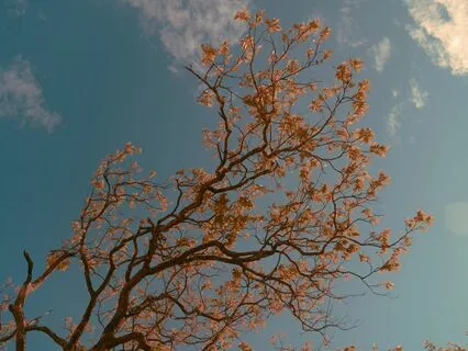 Reconnect To Who I Really Am