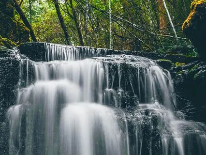 Reconnect To Your Body