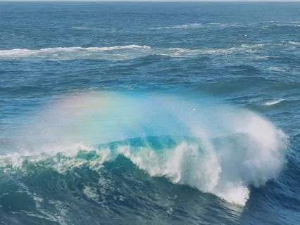 Reconnect To Your Heart