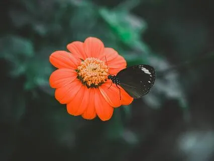 Reconnect To Your Inner Confidence