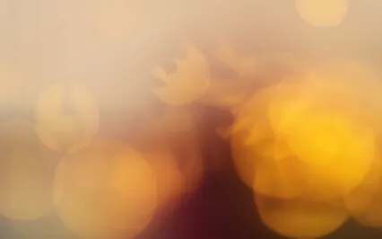 Reconnect To Your Inner Light