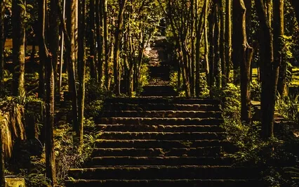 Reconnect To Your Intuitive Desires 