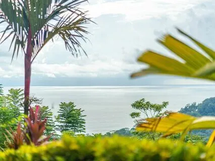 Reconnect With Presence, Guided From Costa Rica