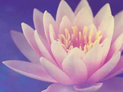 Reconnect With Your Divine Feminine Energy