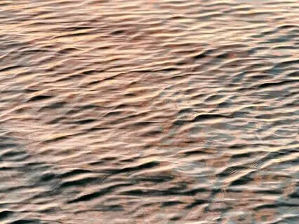 Reconnect With Your Highest Self