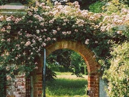 Reconnect With Your Inner Child