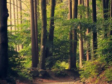 Reconnect With Your Inner Landscape