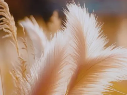 Reconnect With Your Inner Strength And Steadiness