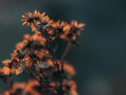 Reconnect With Your True Self