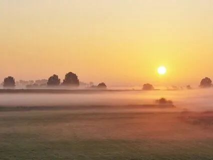 Reconnect With Your Voice: Nurturing Your Throat