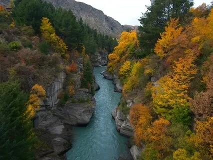 Reconnecting To The Golden River Of Eternal Wisdom   