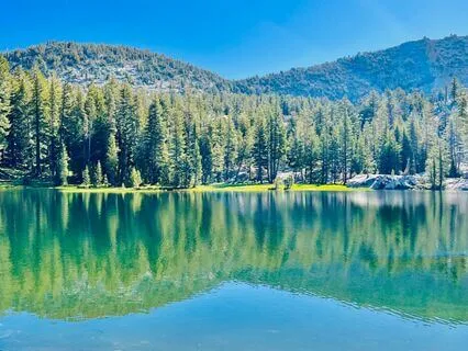 Reconnecting To The Light Within