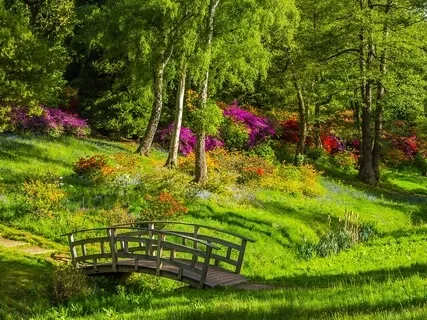 Reconnecting To Your Positive Energy - Guided Meditation 6