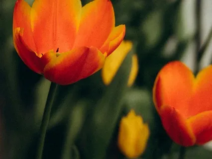 Day 08 - Reconnecting With Ancient Land - March 21