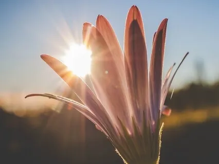 Reconnecting With Hope