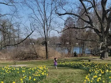 Reconnecting With Joy