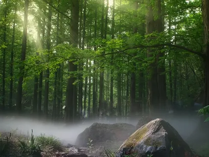 Reconnecting With Mama Earth