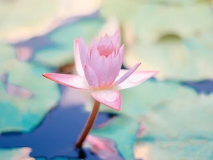 Reconnecting With Self And The Sweetness Of Life