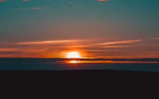 Reconnecting With The Body 