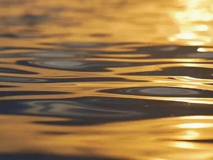 Reconnecting With The Breath