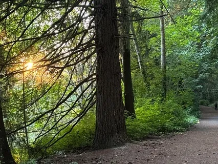 Reconnecting With The Inner Child