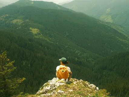 Reconnecting With The Trees