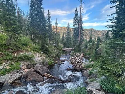 Reconnecting With True Self