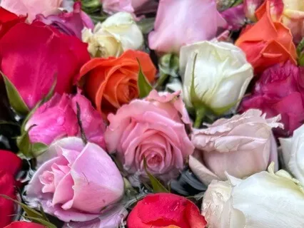 Reconnecting With Your Body