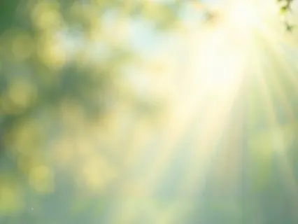 Reconnecting With Yourself